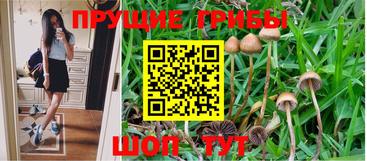 Коломна  Галлюциногенные грибы GOLDEN TEACHER  Вход с VPN 